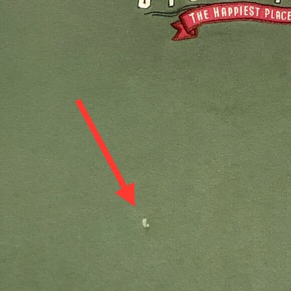 Disneyland Tigger Sweatshirt Large Green DL Hoodie Hooded w/ Pockets Embroidered - Picture 15 of 16